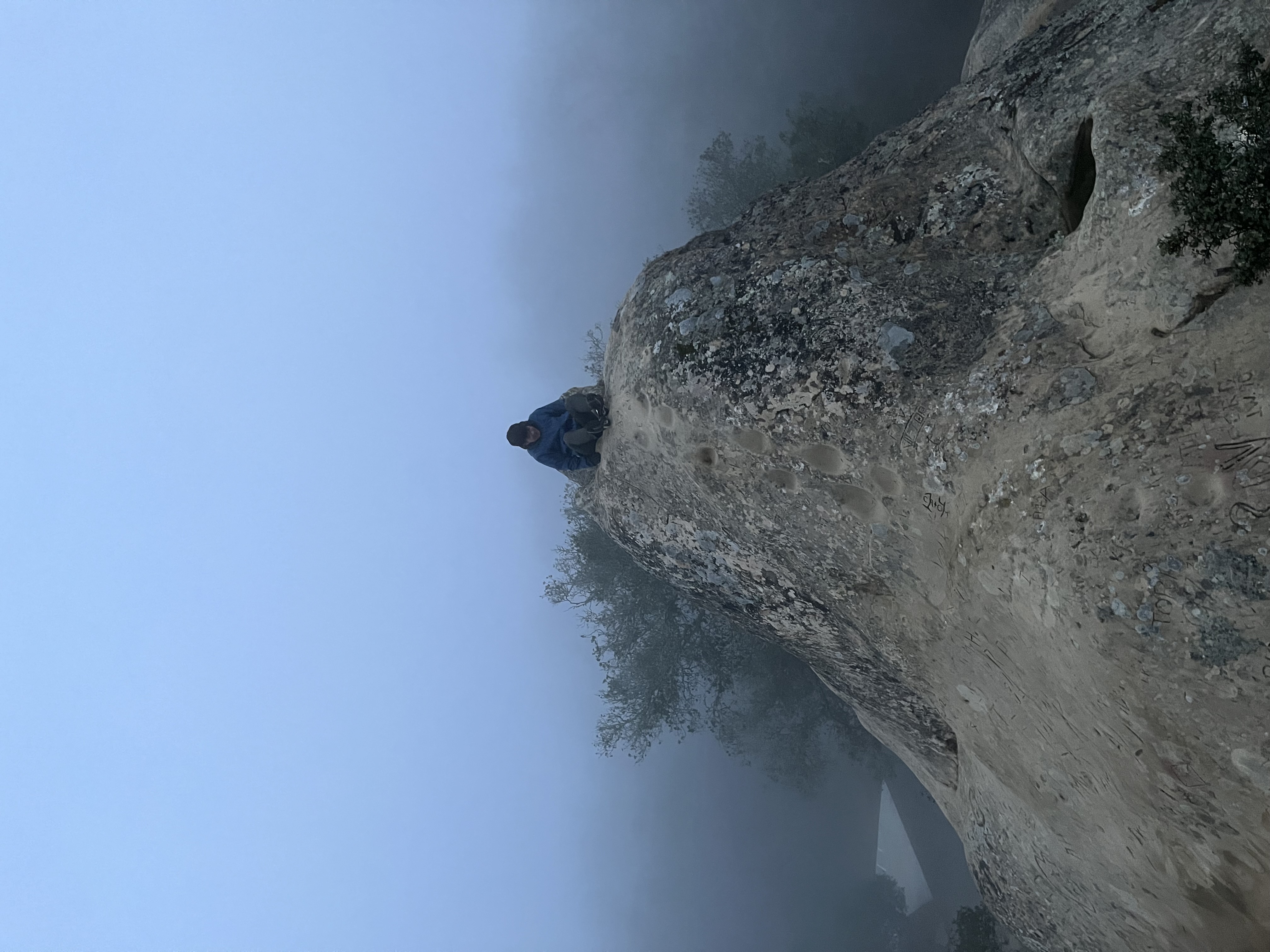 Tall image